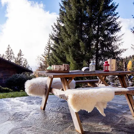 Шале Tetras By Interhome Шезьер