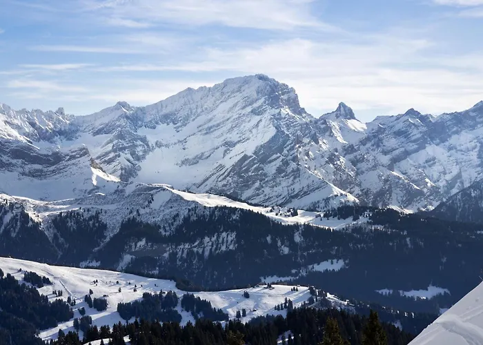 シャレー Tetras By Interhome Chesières