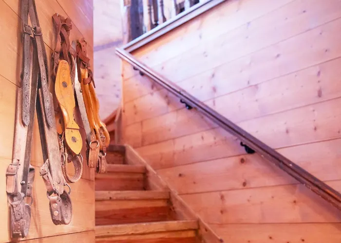 Alpesi faház Tetras By Interhome